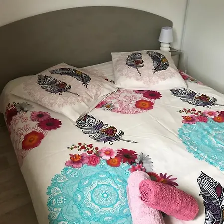 Anglet- Biarritz T3 Dans Avec Piscine